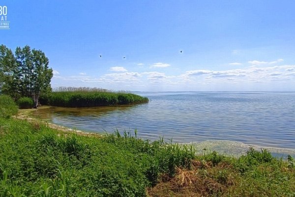 SPRZEDAŻ na DZIAŁKA w PŁOCIN