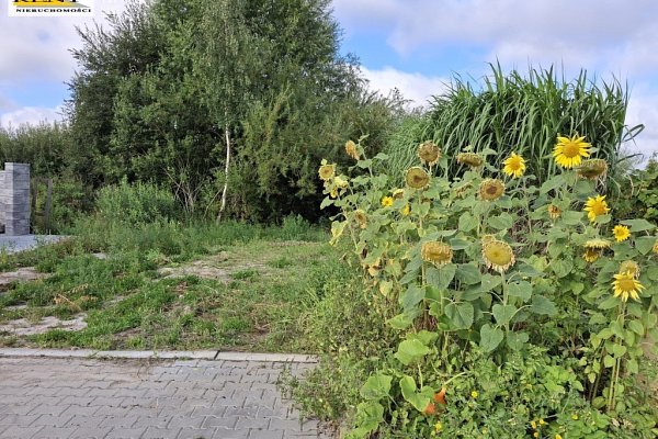 SPRZEDAŻ na DZIAŁKA w MIERZYN