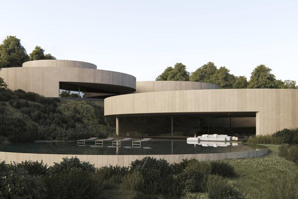 zdjecie