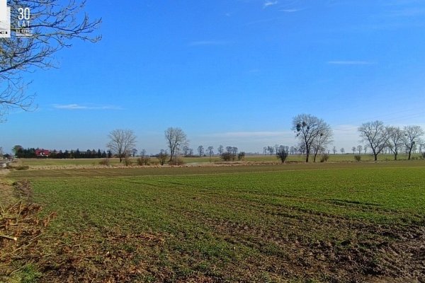 SPRZEDAŻ na DZIAŁKA w BIELICE