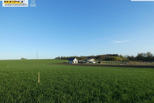 SPRZEDAŻ na DZIAŁKA w TARNÓWKO